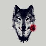 Profile Picture of christopher_haubert (@christopherhaubert732) on Instagram