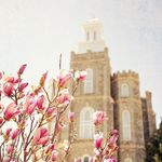 Account Run By Allison Himes - Instagram Profile Picture of Account Run By Allison Himes (@caribou_youngwomen) on Instagram