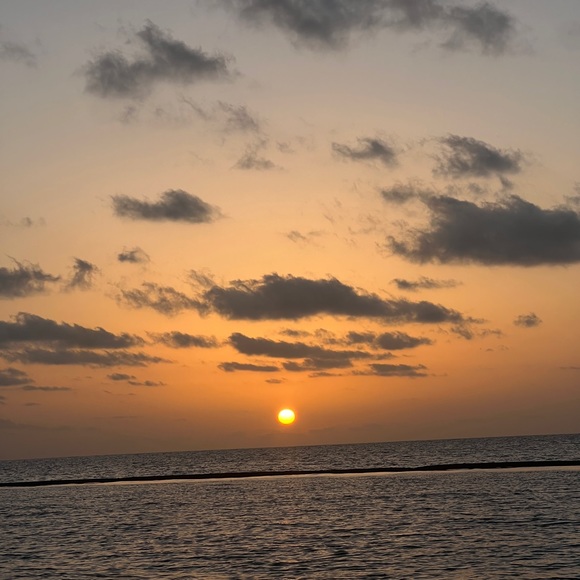 Kristy Forkum - Poshmark Profile Picture of Kristy Forkum (@k1564) on Poshmark