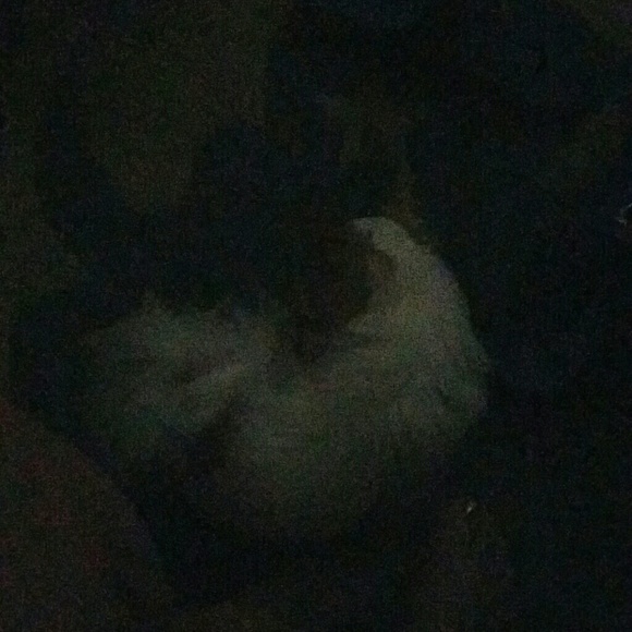 Profile Picture of Angela Kucinski (@agolob) on Poshmark