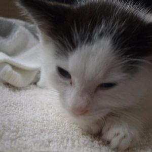 Profile Picture of Alex Gulledge (@278627377) on Myspace