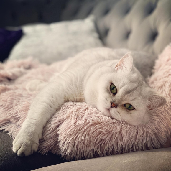 Tatiana Kravchuk - Poshmark Profile Picture of Tatiana Kravchuk (@_tkay) on Poshmark