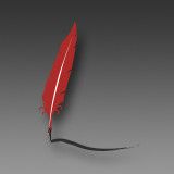 Profile Picture of Faith Notary (@faithnotary) on Pinterest