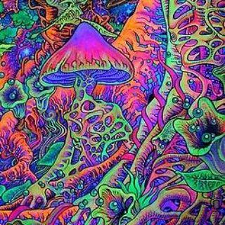 Profile Picture of Connordude (@connor_stout) on Twitter