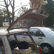 Profile Picture of DColagiovanni (@DColagiovanni) on Youtube