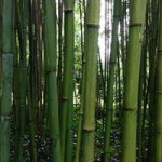 Profile Picture of Julia Chauvin (@manama838692) on Instagram