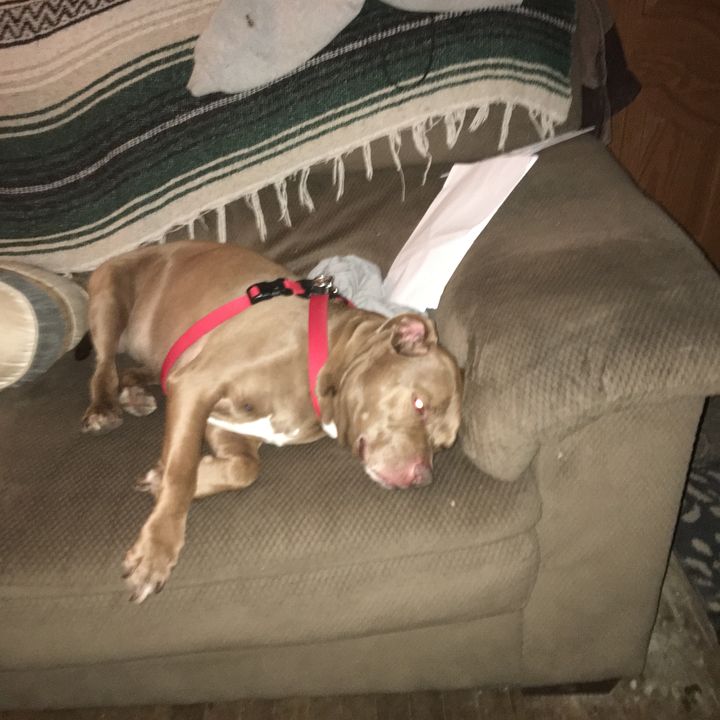 Profile Picture of Thomasholt (@thomaswholt) on Tiktok