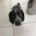 Profile Picture of Peter Basham (@peter.basham.71) on Facebook