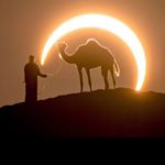 Profile Picture of Victor Palos (@vpalos64) on Instagram