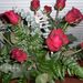 Profile Picture of Christina Halverson (@luvchristinaluv) on Pinterest