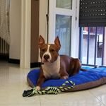 Profile Picture of Paola Citterio (@paola.citty) on Instagram