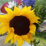 Profile Picture of Janet Metz (@janet.metz.2025) on Facebook