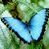 Profile Picture of Allyson Reader (@allymyree) on Pinterest