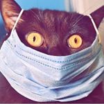 Profile Picture of 𝙰𝚝𝚌𝚑𝚒𝚖 (@pedro_lanza1) on Instagram