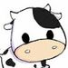 Profile Picture of kaykay wilhelm (@kaykaywilhelm) on Pinterest