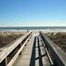 Profile Picture of David Digilio (@daviddigilio0444) on Pinterest