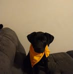 Profile Picture of Thomas Pifer (@thomas.pifer.2025) on Facebook