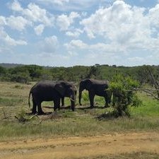 Profile Picture of KJ (@kevinjurgens1) on Twitter