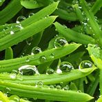 Profile Picture of Wang Jun (@Wang-Jun) on Facebook