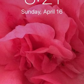 Profile Picture of Faye Ruehling (@fayeruehling) on Pinterest