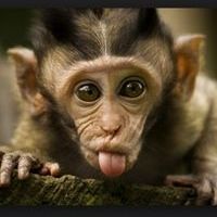 Profile Picture of Crystal Dunston (@crystal1dunston) on Pinterest