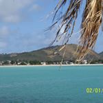 Profile Picture of Tamara Stodder (@tamararealtor) on Instagram