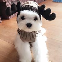 Profile Picture of Sylvia Chao (@sylvia-chao-1) on Quora