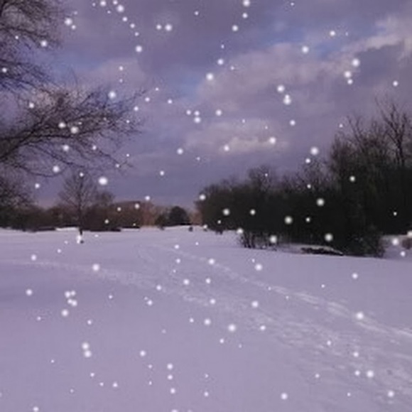 Profile Picture of Aaron Eisenberg (@aeisenberg88) on Poshmark