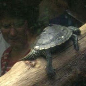 Profile Picture of Jesse Long (@jsu8532n) on Youtube