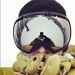 Profile Picture of Craig Sprecher (@craigsprecher) on Pinterest