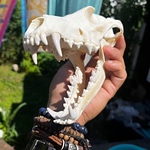 Profile Picture of Jake Snow (@jakesnake1333) on Flickr