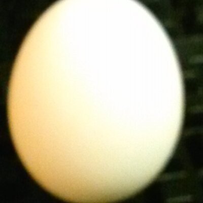 Profile Picture of Eric A. Medina (@bengalsava) on Twitter