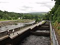 Profile Picture of Pitlochry fish ladderon Wikipedia