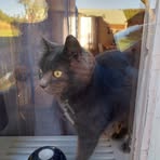 Profile Picture of Lotta Claesson (@Lotta-Claesson) on Facebook