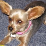 Profile Picture of larry lacy (@larrysingletrack) on Instagram