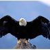 Profile Picture of Robert Speer (@robert.speer.775) on Facebook