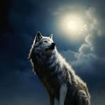 Profile Picture of Montez Wolfe (@montez.wolfe.2025) on Facebook