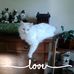 Profile Picture of Kathy Rust (@kathy.rust.756) on Facebook