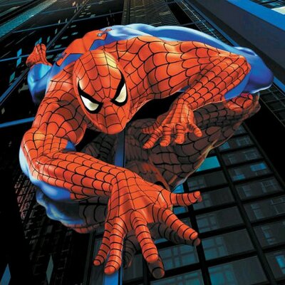 Profile Picture of Stephen Bobeck (@spidey65) on Twitter
