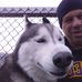 Profile Picture of David Jimerson (@david.jimerson.395) on Facebook