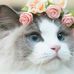 Profile Picture of Sandra Tarasiewicz (@sandra.tarasiewicz.545) on Facebook