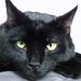Profile Picture of patricia hack (@phack1972) on Pinterest