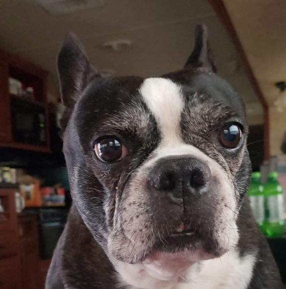 Robin Jones-kendall - Poshmark Profile Picture of Robin Jones-kendall (@robinkendall4) on Poshmark