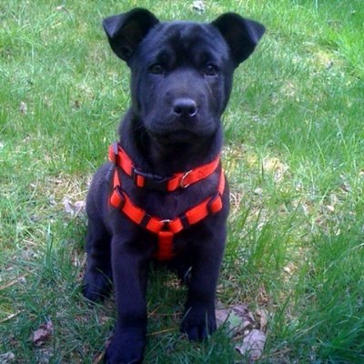 Profile Picture of Jeff Oehler (@JeffOehler) on Twitter