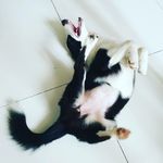 Profile Picture of Jieun Chung-Seno (@chungseno) on Instagram