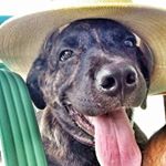 Profile Picture of Bruce Mizerê (@brucemizere) on Instagram