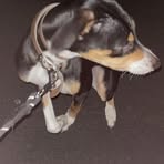 Profile Picture of Kyle Utley (@kyle.utley.583) on Facebook