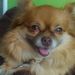 Profile Picture of Sherry Driggers (@sherry_bashorun) on Pinterest
