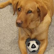 Profile Picture of Mark Hurrell (@markhurrell2188) on Youtube