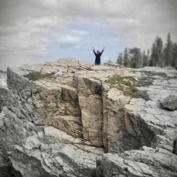 Profile Picture of Randi Dyer (@rdyer531) on Poshmark